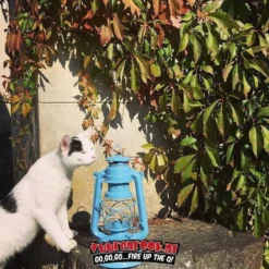 Original Feuerhand Stormlantaarn Pastel Blauw -The Bastard image 160